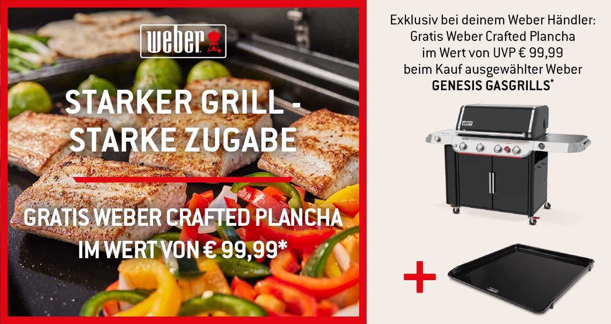 Jetzt Plancha sichern