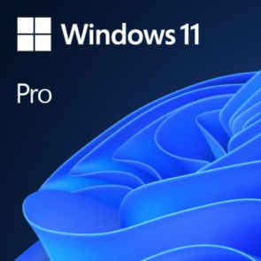 Microsoft Windows 11 Pro 64Bit DSP DE