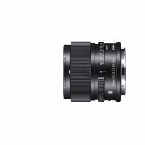 Sigma 90mm 2.8 DG DN E-Mount