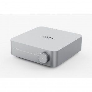 WiiM Amp silber
