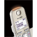 Panasonic KX-TGE262GN champagner
