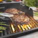 Weber SPIRIT EP-325 GBS Gasgrill (2025)
