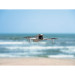 DJI Lito 1