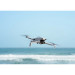 DJI Lito X1